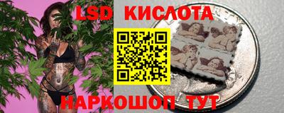 spice Гай
