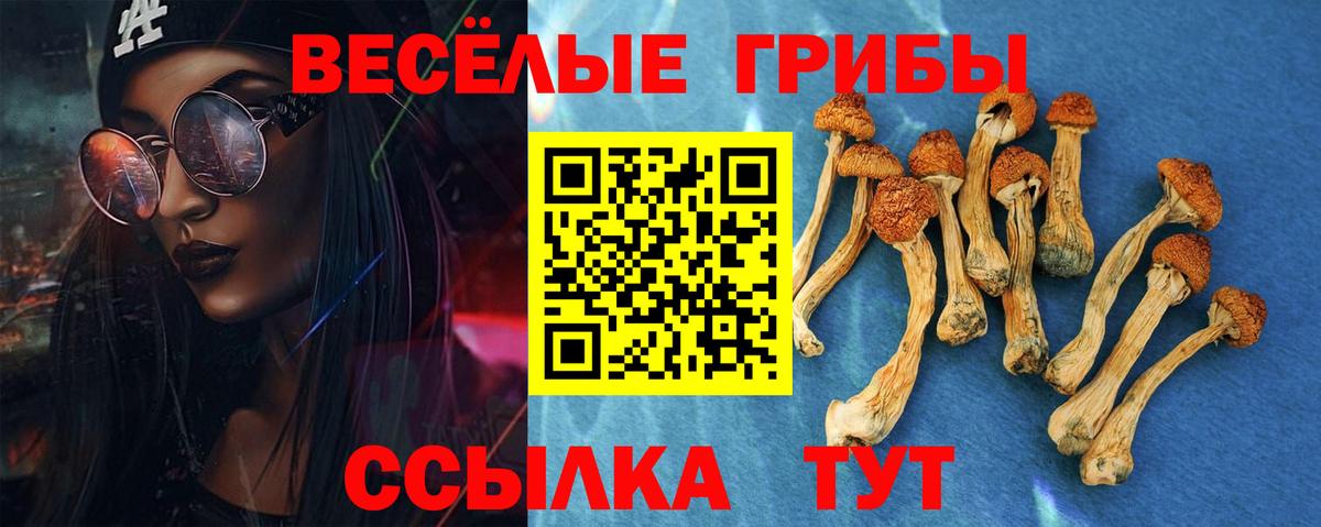 Моздок  Псилоцибиновые грибы ЛСД  Вход с VPN 